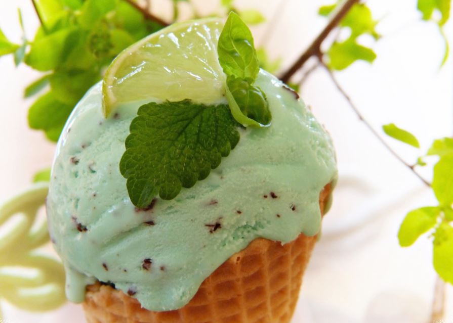 STEPHENSON ETUDES REUNION CONSOMMATEURS PARIS