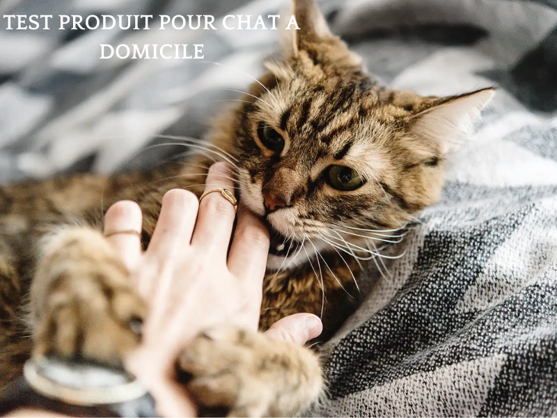 Stephenson Etudes Test produit pour chat consommateur panel dédommagé France Online Stephenson Etudes Test produit pour chat consommateur panel dédommagé France Online