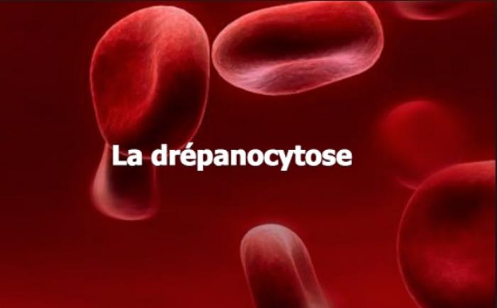 Etude medicale dédommagées Stephenson Etudes Etude medicale dédommagées Stephenson Etudes