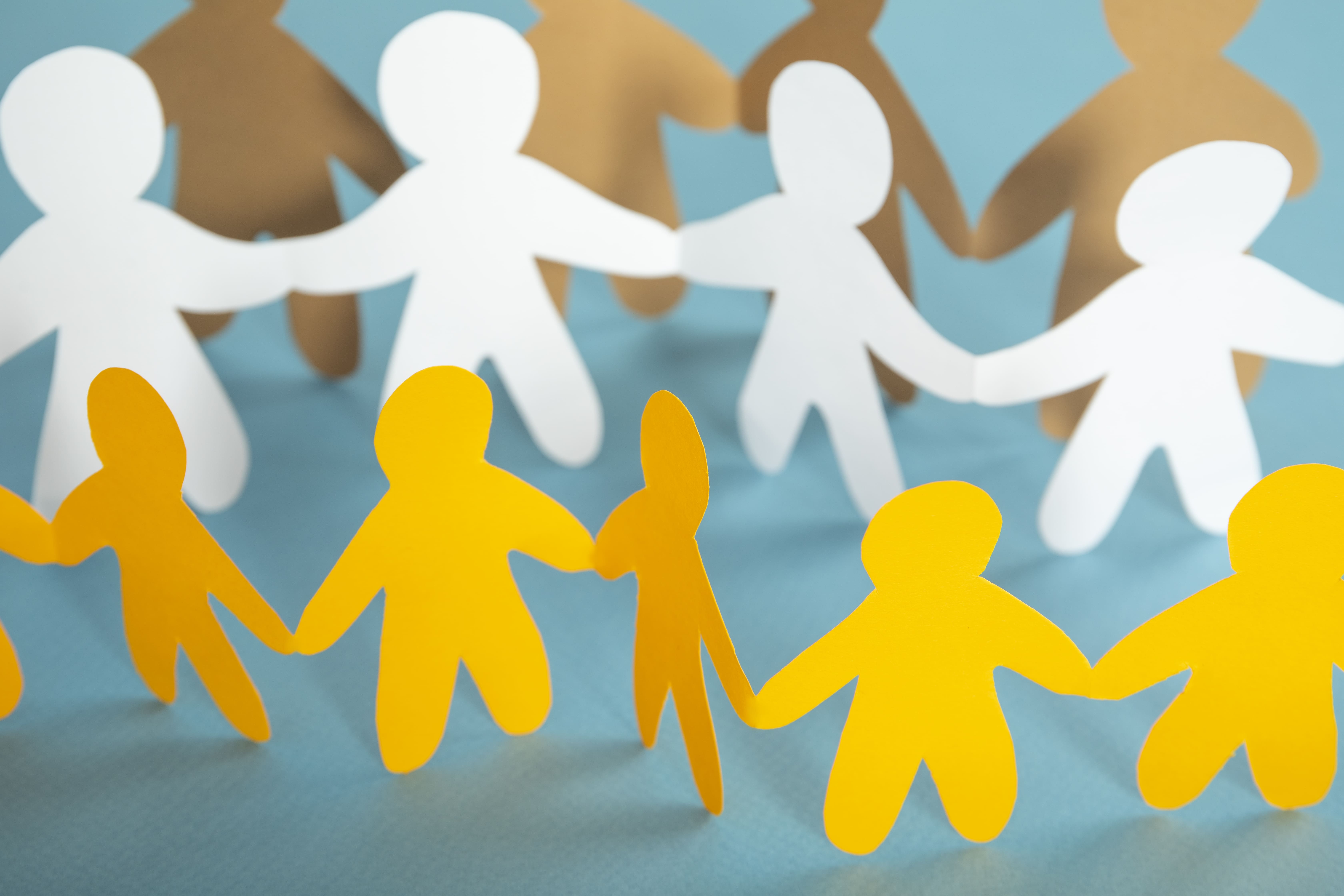 Etude online dédommagées Stephenson Etudes France