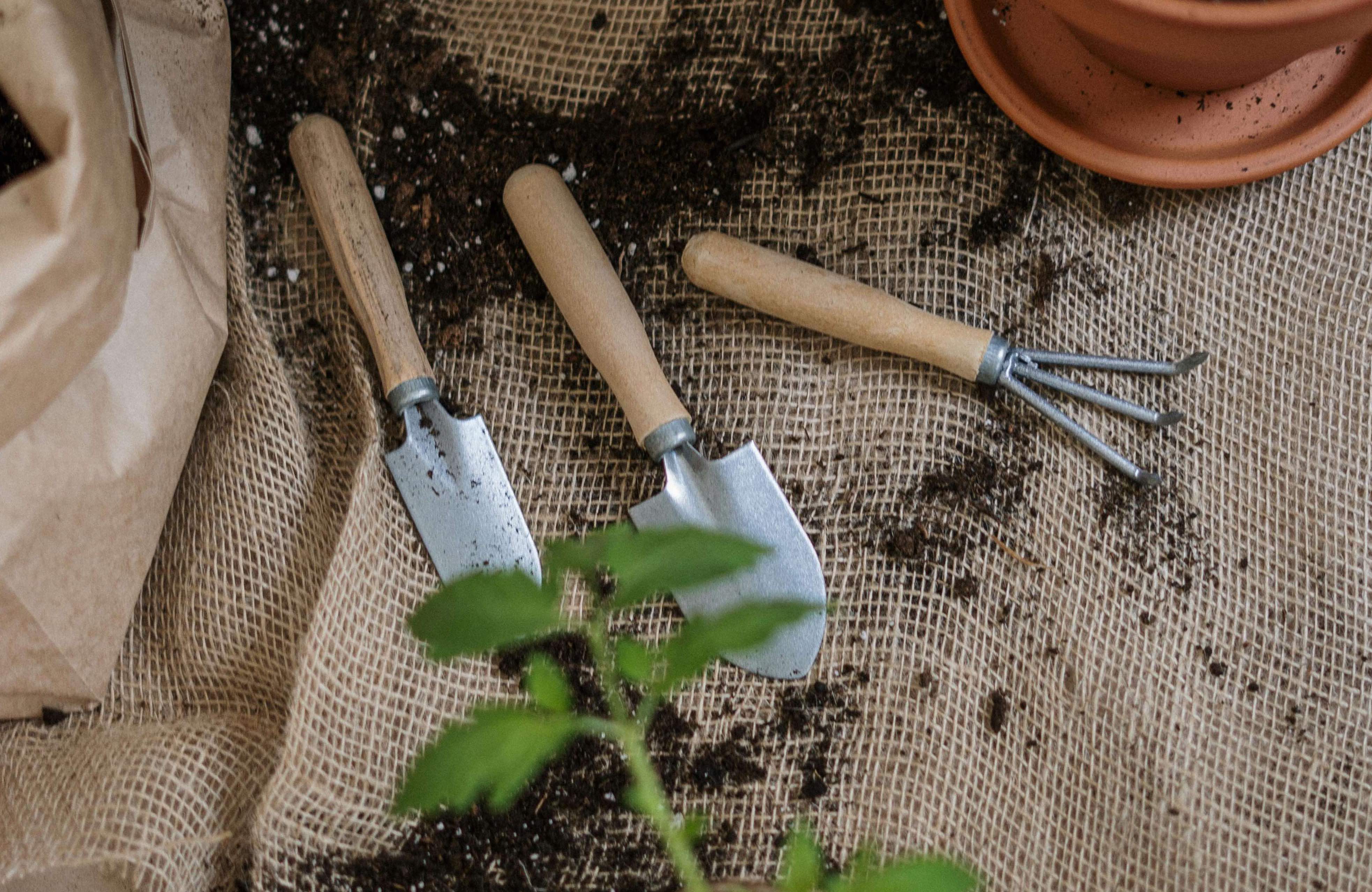 Étude sur le jardinage à Nantes dédommagement 60 euros par virement bancaire 