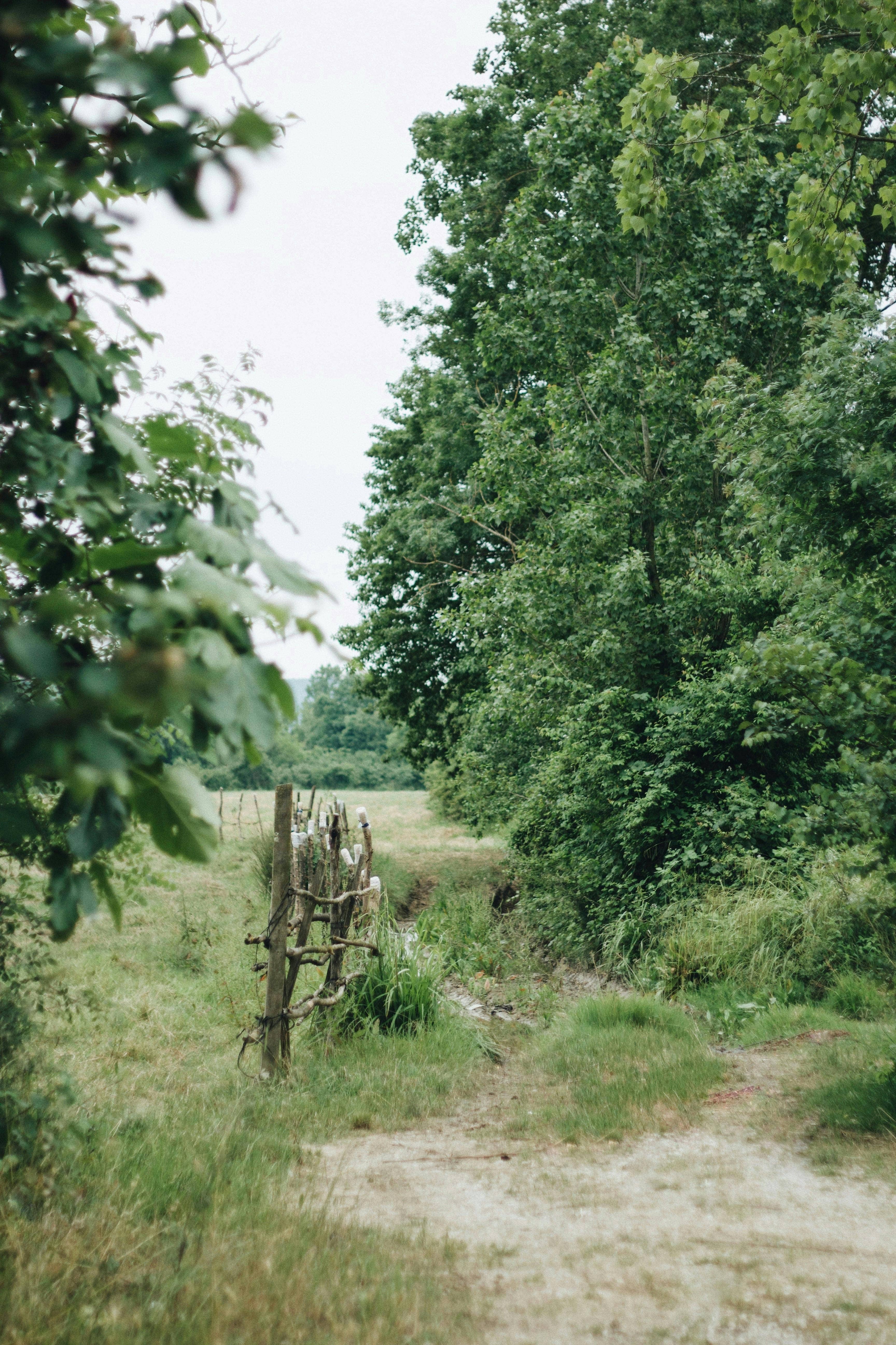 Réunions de consommateurs dédommagées Stephenson Etudes Nantes