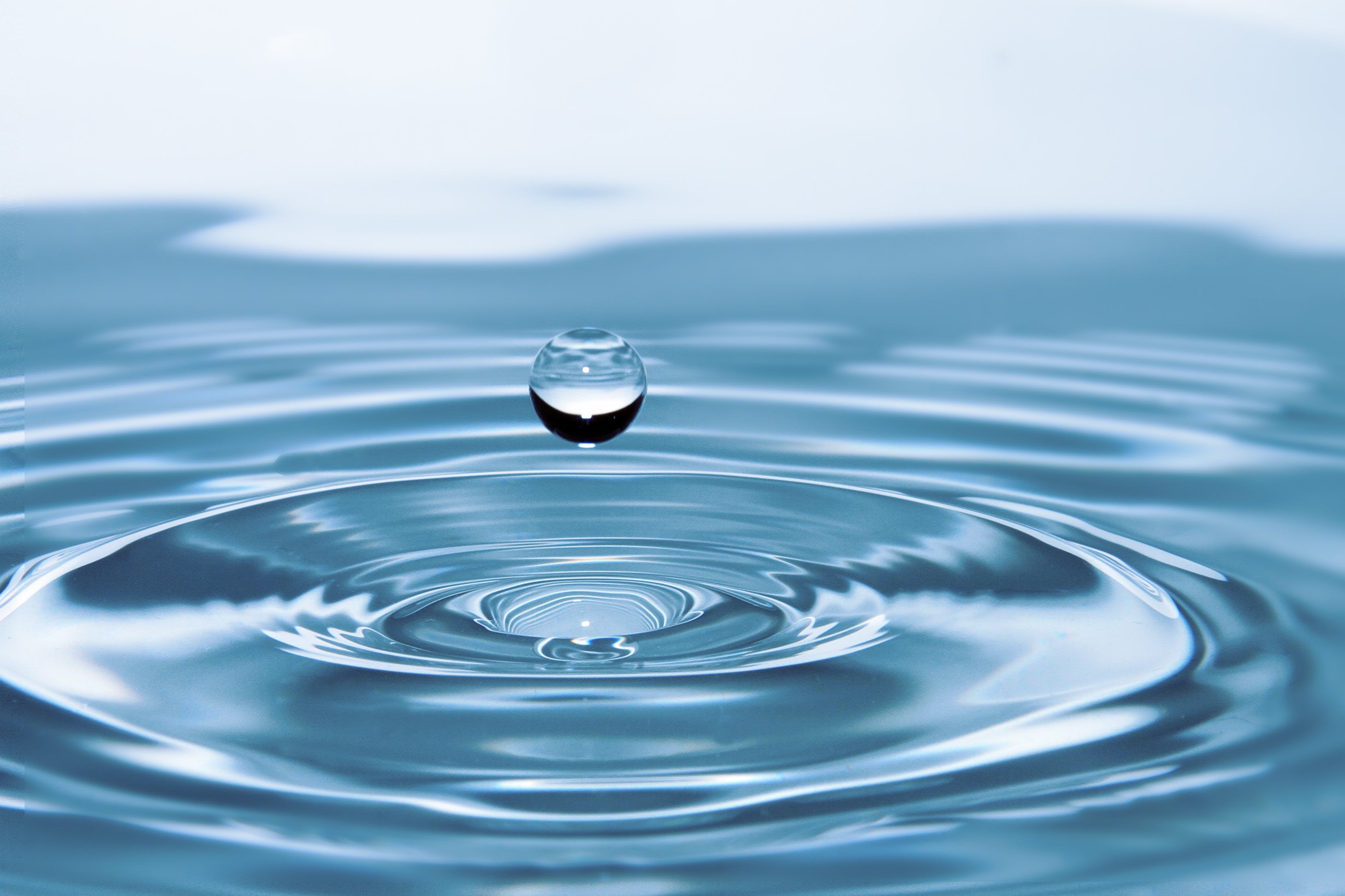 étude intégration d'un panel dégustation d'eau à La Roche sur Yon dédommagement 750€ étude intégration d'un panel dégustation d'eau à La Roche sur Yon dédommagement 750€